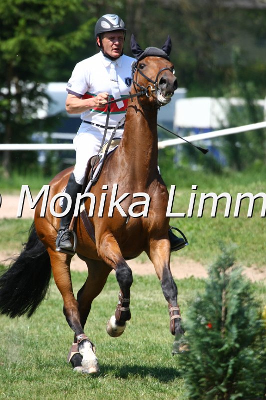 105M9949_Quinars Rubin_Spingpf_A.JPG